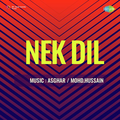 Nek Dil Dilshad Begum MP3 Download